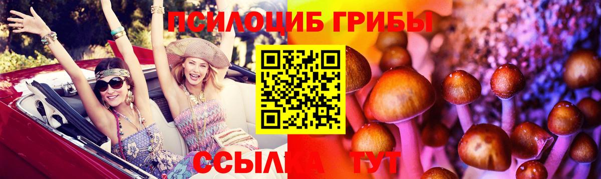 Усолье-Сибирское  Псилоцибиновые грибы прущие грибы  Псилоцибиновые грибы мицелий  Вход с VPN 